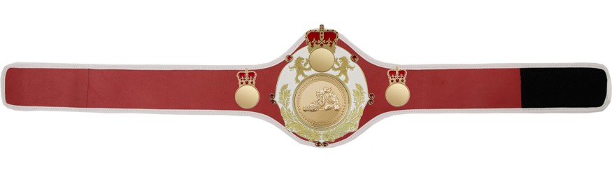 QUEENSBURY PRO LEATHER JIU JITSU CHAMPIONSHIP BELT - QUEEN/B/G/JJG -10+ COLOURS